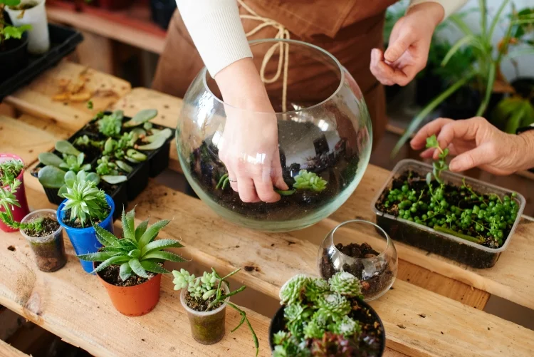 Terrarium Workshop