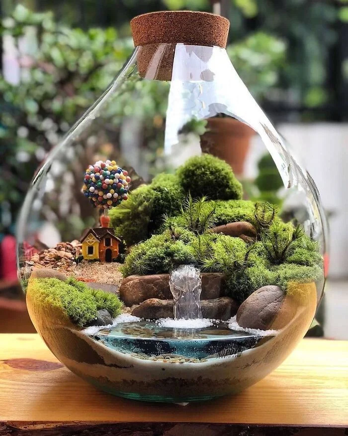 Terrarium Workshop