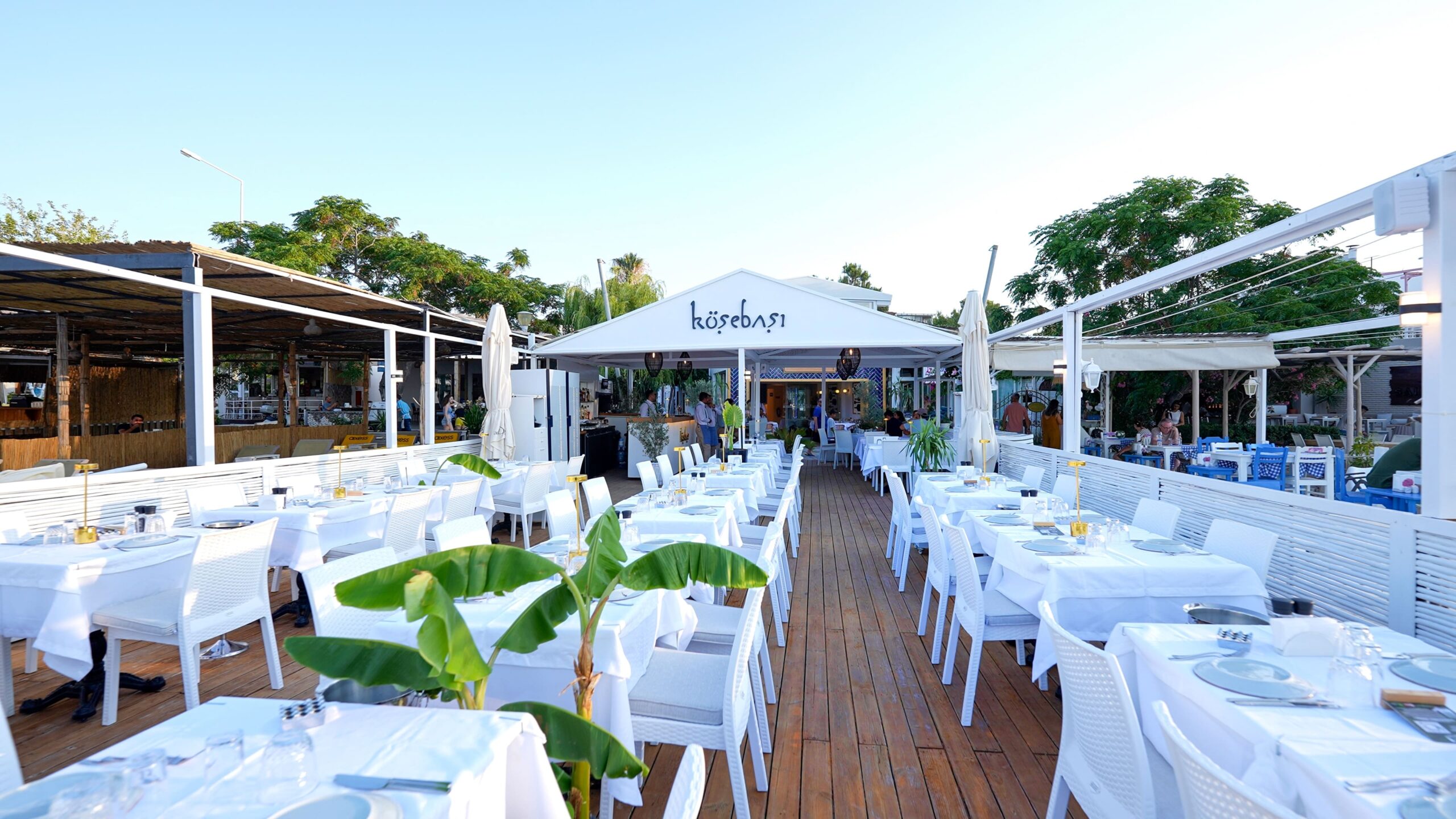 Köşebaşı Gundogan