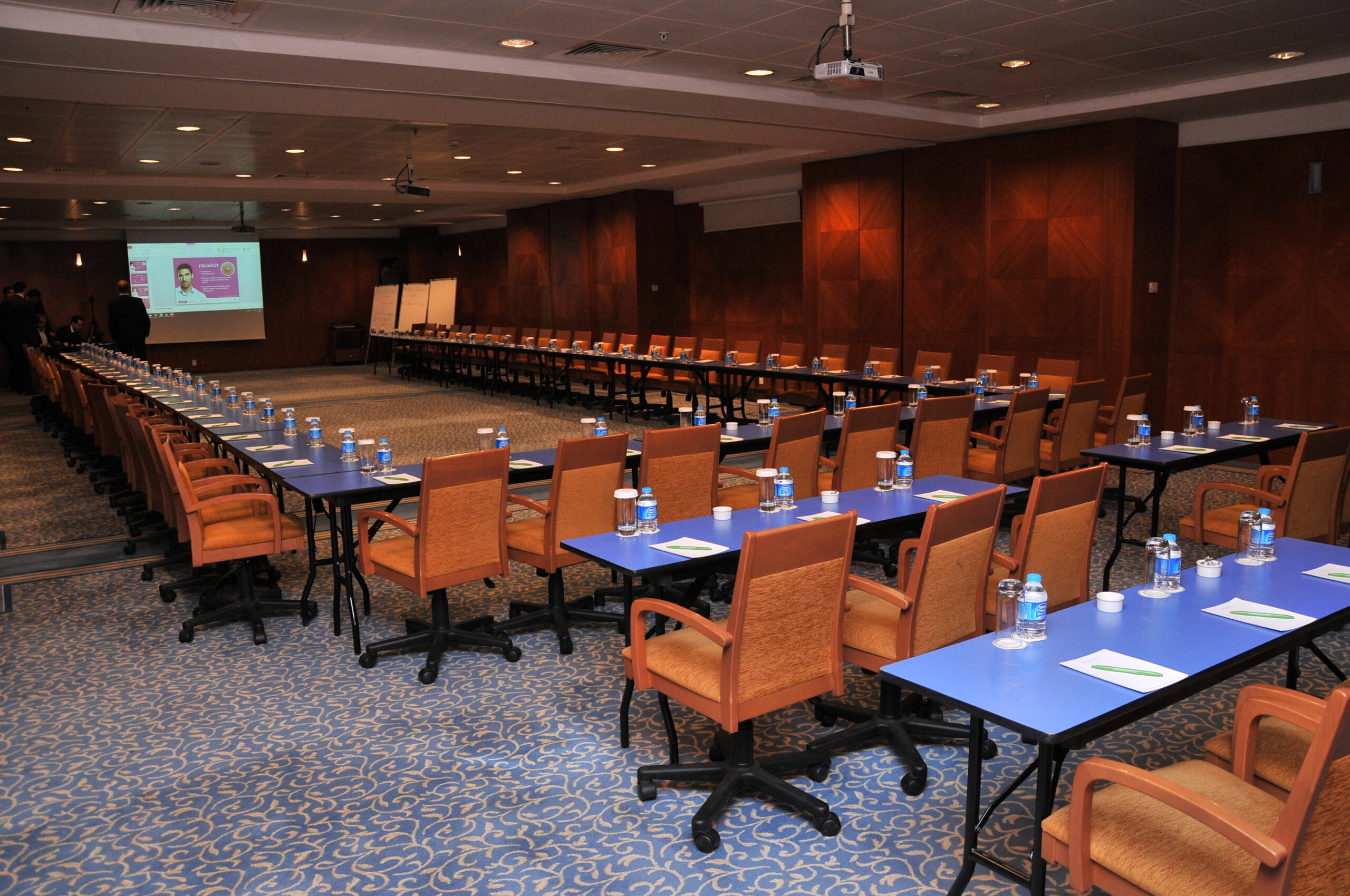 Manolya I Toplantı Salonu - Oda Görseli