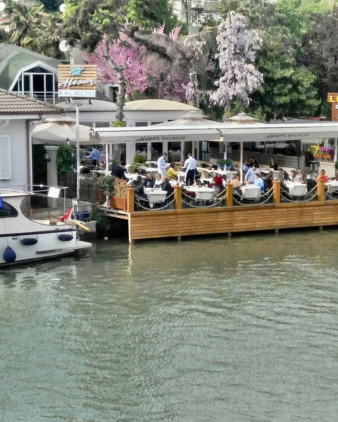 Hisar Fisherman