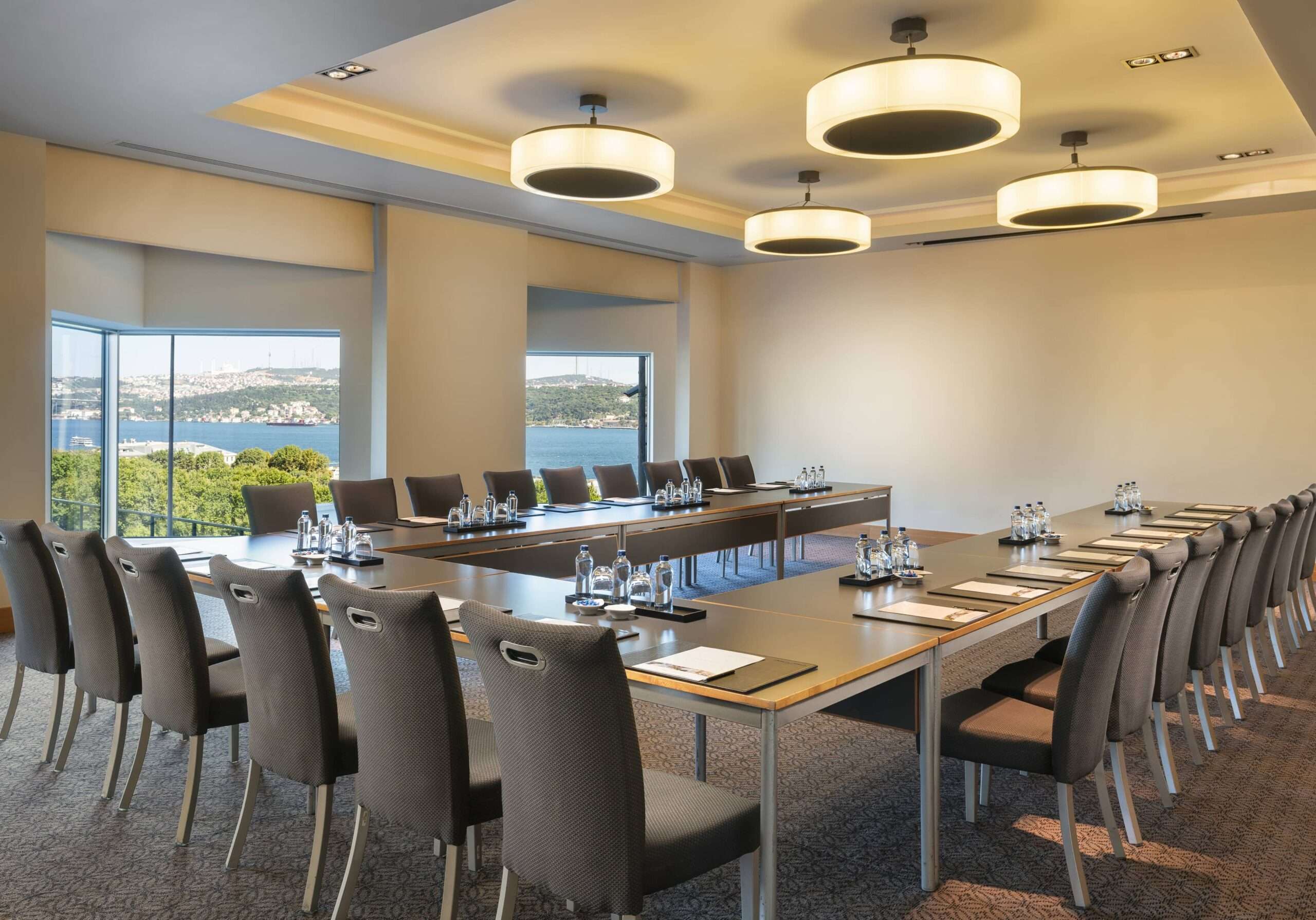 Monte Rosa I - Oda Görseli