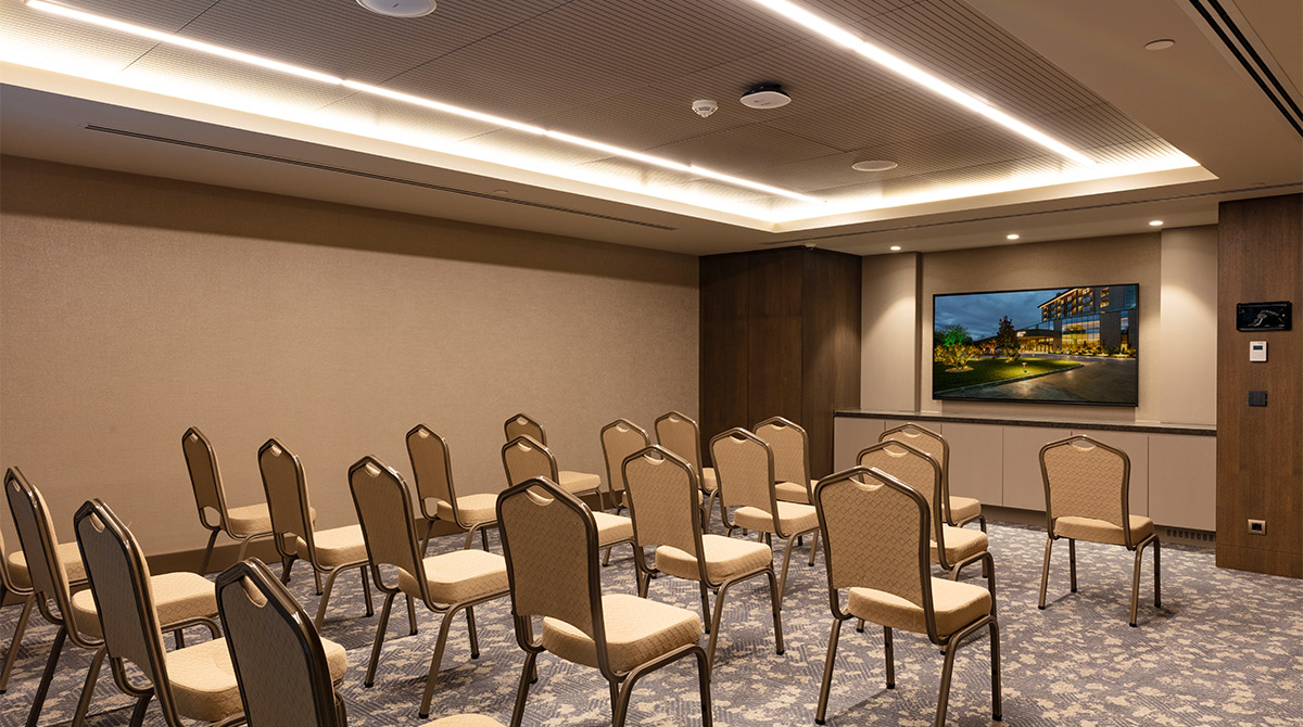 Lapis Toplantı Salonu - Oda Görseli