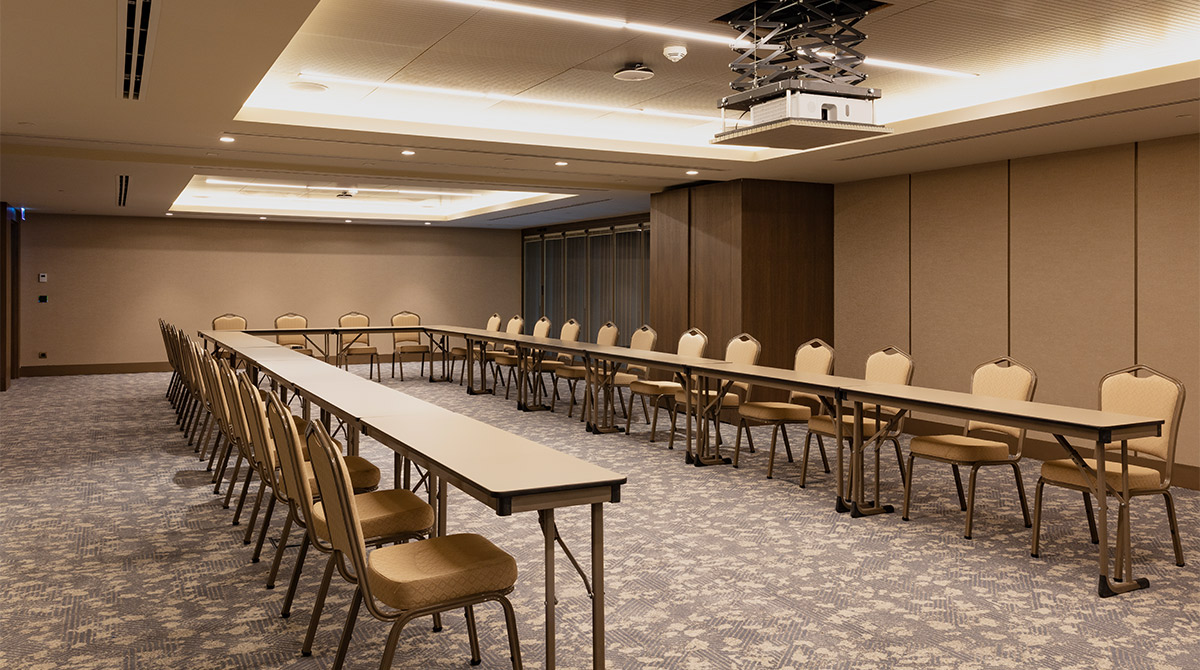 Sedef I Toplantı Salonu - Oda Görseli