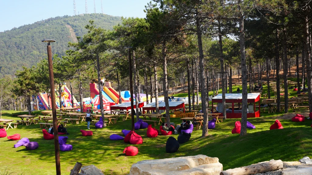 Nefes Koru - Oda Görseli