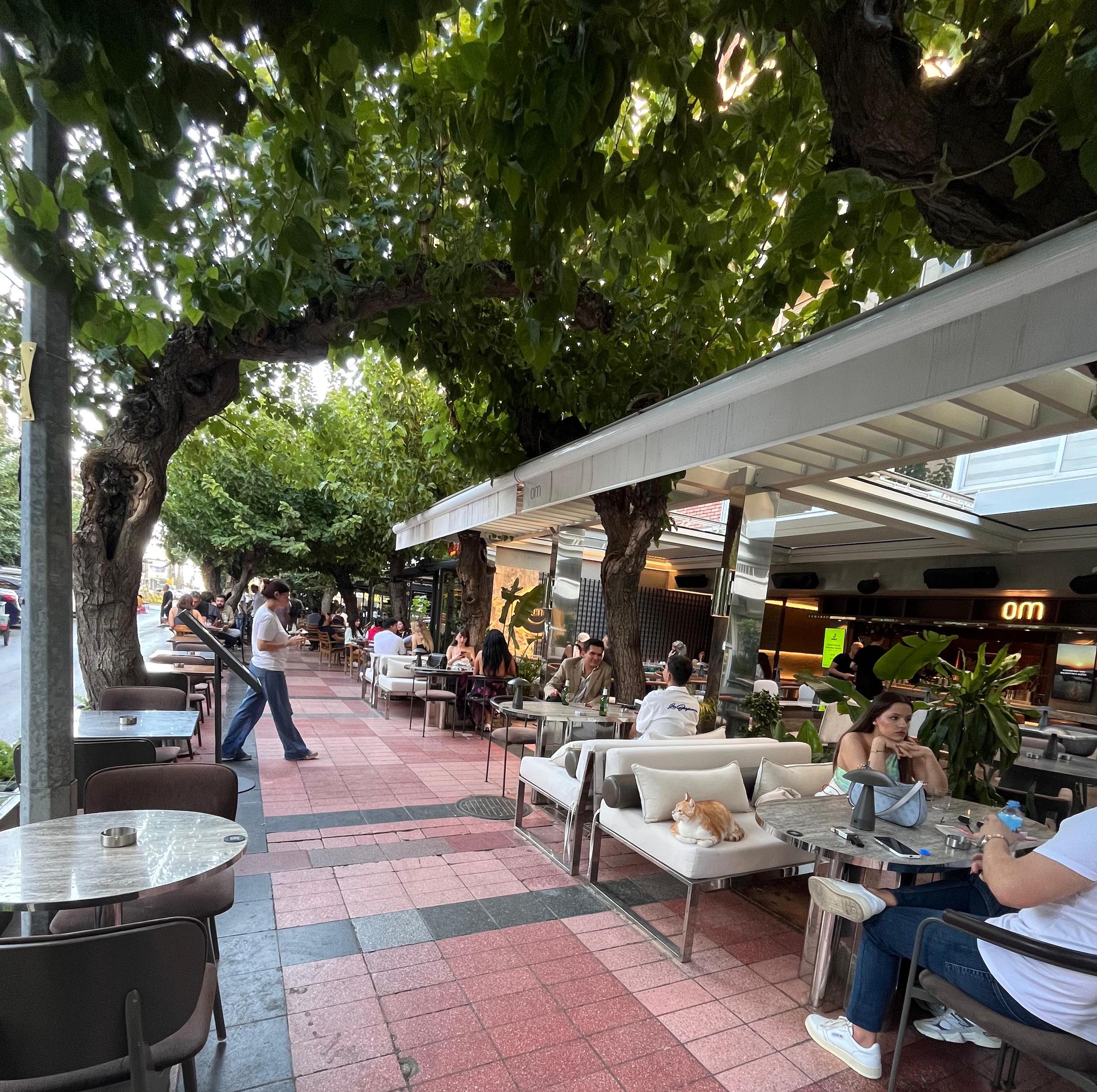 Om Social Alsancak