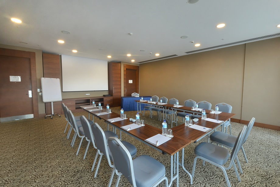 Executive Toplantı Salonu - Oda Görseli