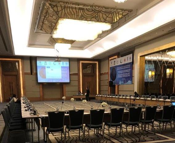 Radisson Blu Hotel Şişli