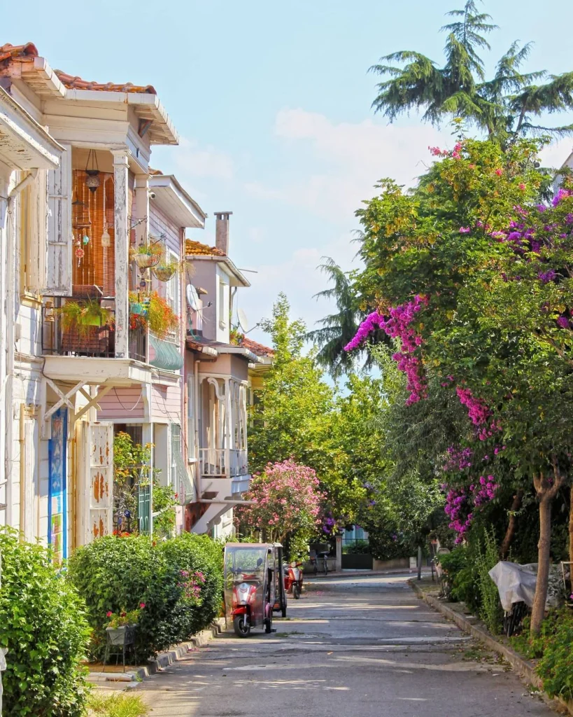 Büyükada Rotası