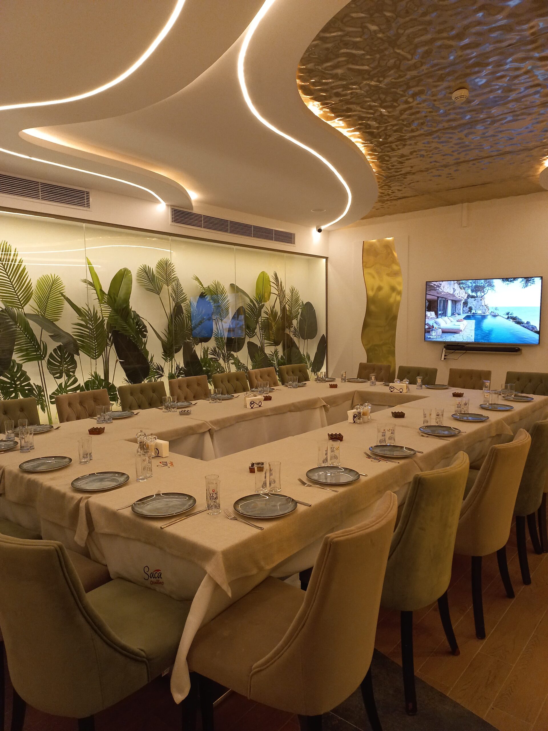 Saca Ocakbasi Fenerbahçe